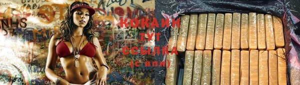 дживик Магадан