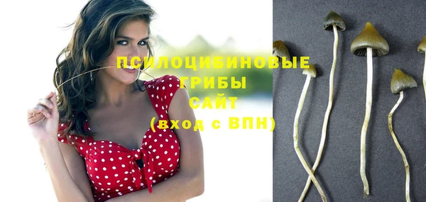 дживик Магадан