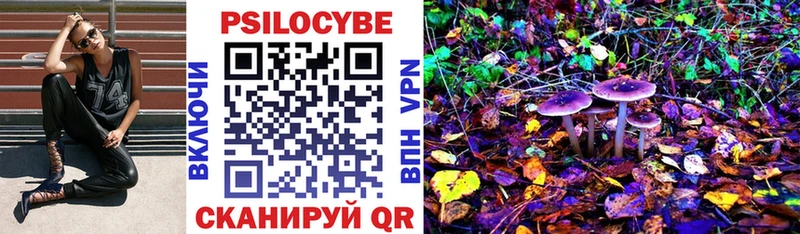 ОМГ ОМГ ТОР Советск Псилоцибиновые грибы мицелий