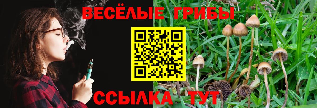 Галлюциногенные грибы Psilocybe Советск