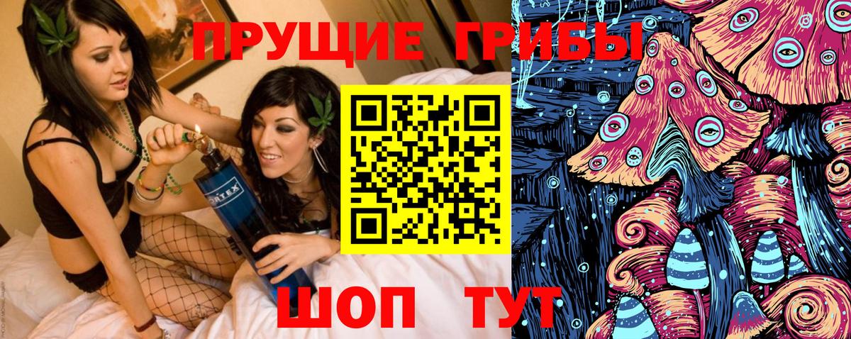 Галлюциногенные грибы Psilocybe  Вход с VPN  Советск 